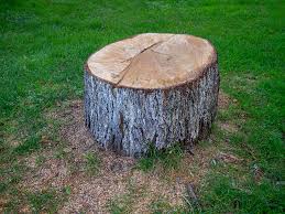 Best Tree Mulching  in Lowes Island, VA
