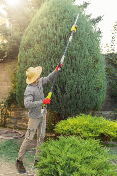 Best Lawn Drainage Solutions  in Lowes Island, VA